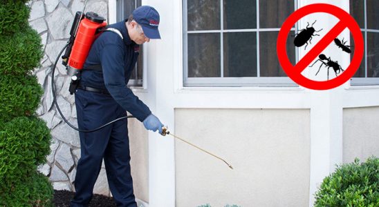 Kapaklı Gümüşkurt İlaçlama böcek ilaçlama ve haşere kontrolü — ilaclama-tr.com
